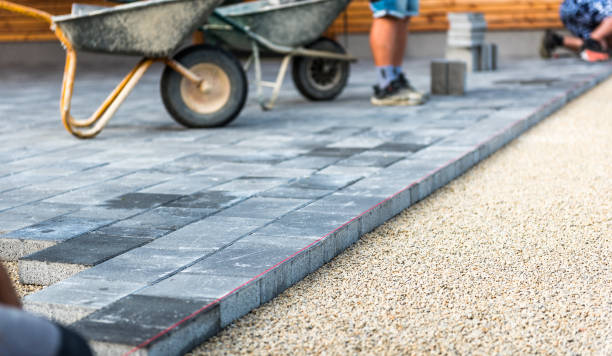 Best Decorative Driveway Pavers  in Renville, MN