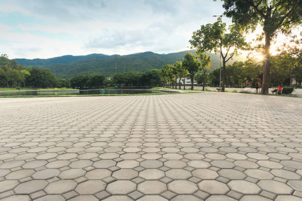 Best Driveway Repair Near Me  in Renville, MN