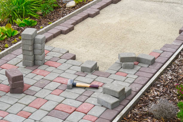 Best Driveway Paving Contractor  in Renville, MN